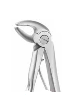 Upper Incisors and Canines Fig.4