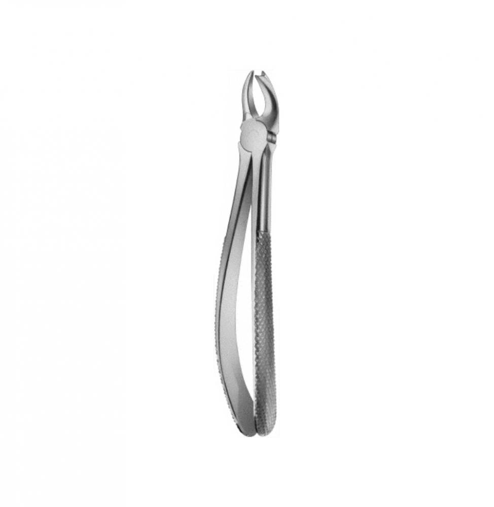 Upper Molar Right Fig.912