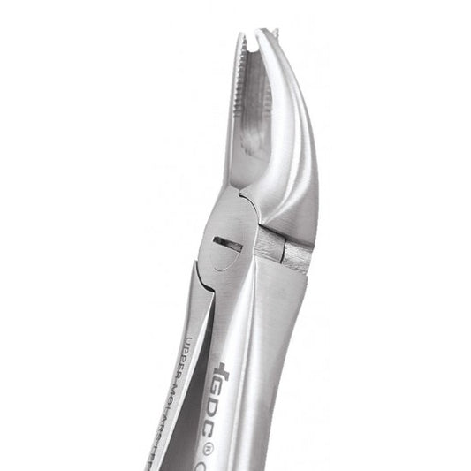 Upper Molars Left Fig.95