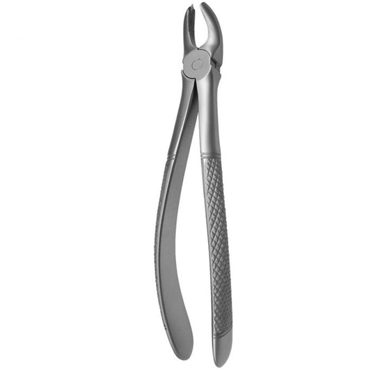 Upper Right Molar Fig.17